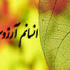 ایرج رحیم زاده