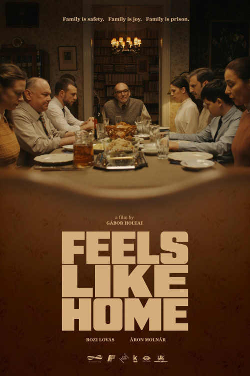 دانلود فیلم حس خانه را دارد Feels Like Home 2025